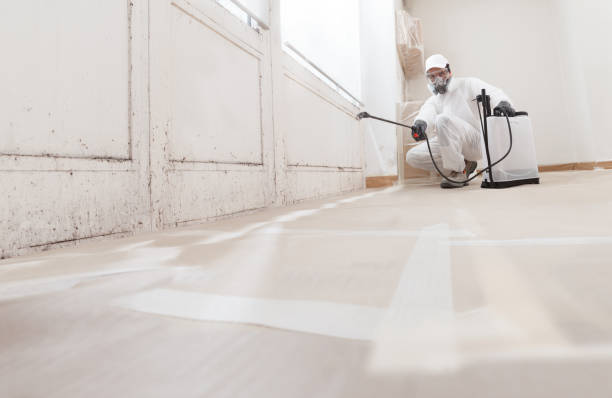24/7 Emergency Attic Mold Removal experts in Nokomis, IL